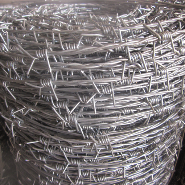 Barbed Wire